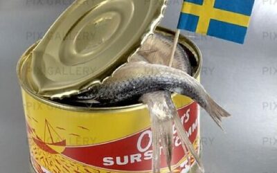 Sauteed Herring / Fermented Herring Surströmming