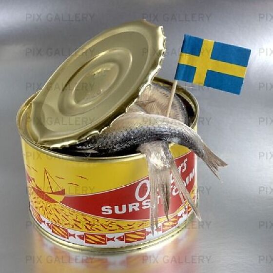 Sauteed Herring / Fermented Herring Surströmming 